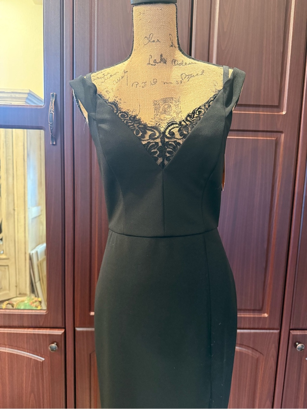 Abs Style Elegant Black Lace-Accent Women's Dress